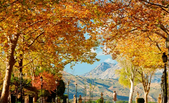 Visitar Ronda