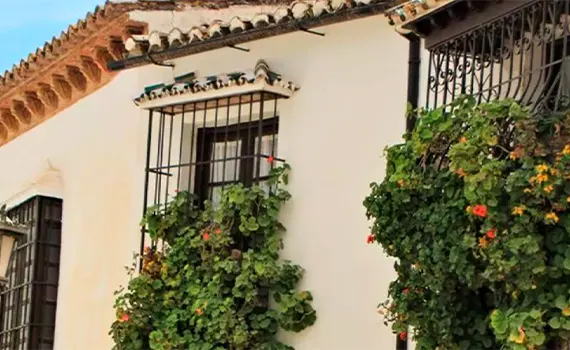 Visitar Ronda