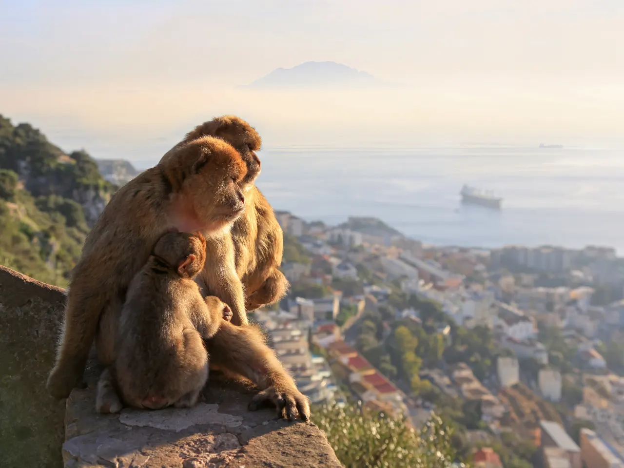 gibraltar-puertobanus (3)