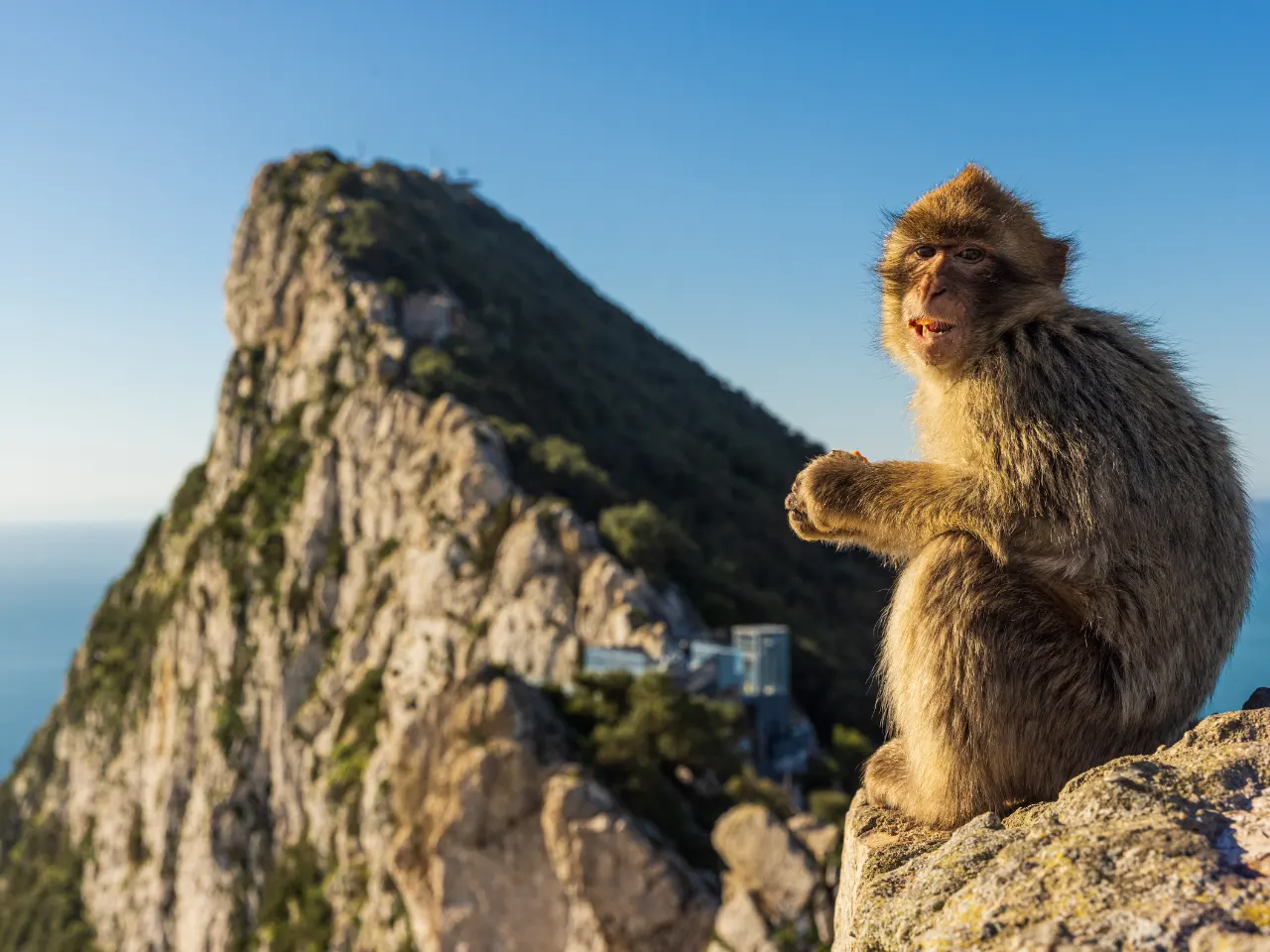 gibraltar-puertobanus (4)